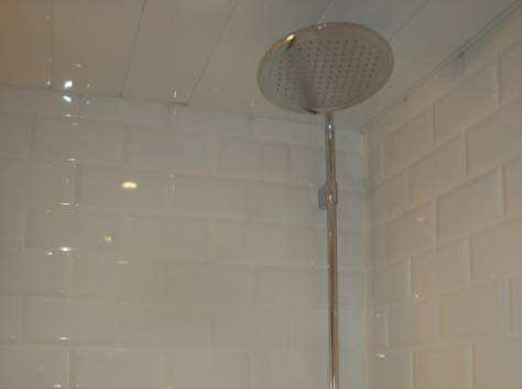 кафелчик плиточник, фотография 4