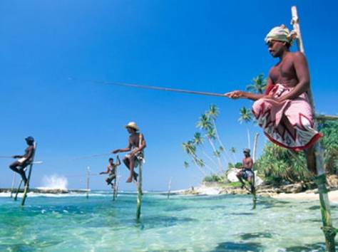 Удивительная Шри Ланка, фотография 3