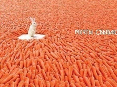 Поверь в себя, измени свою жизнь к лучшему !!!, фотография 1