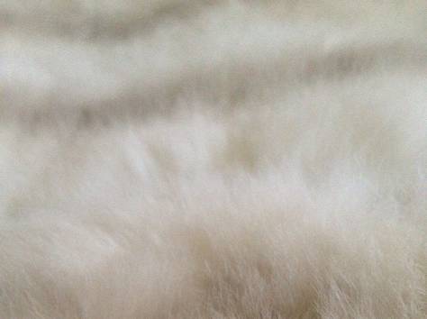 Продам шубку автоледи шиншилловый кролик, фотография 6