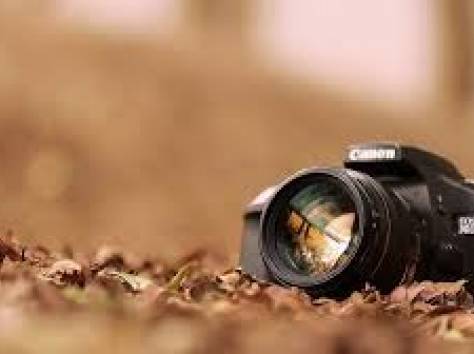 Акция осени 