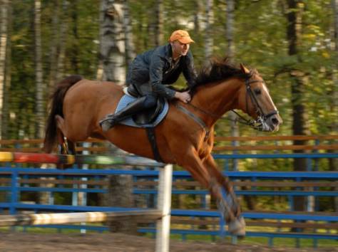 Конная школа, фотография 1