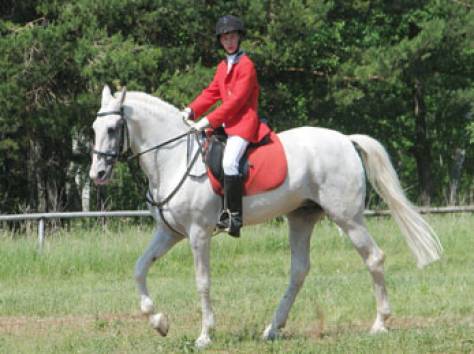 Конный спорт занятия, фотография 1