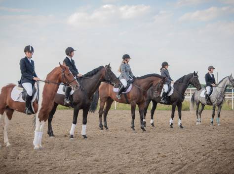 обучение верховой езде, фотография 1