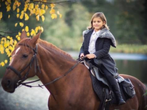 конкур , фотография 1