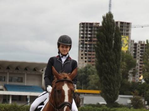 обучение лошадям, фотография 1