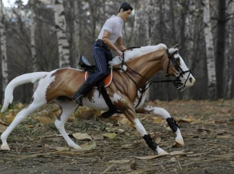 обучение верховой езде на лошадях, фотография 1