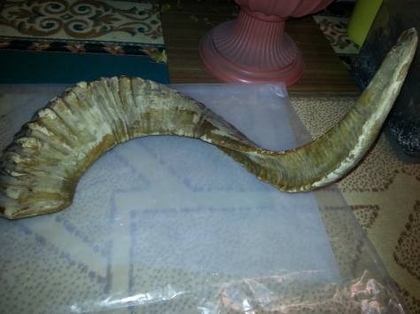 Продам старый рог архара, фотография 1