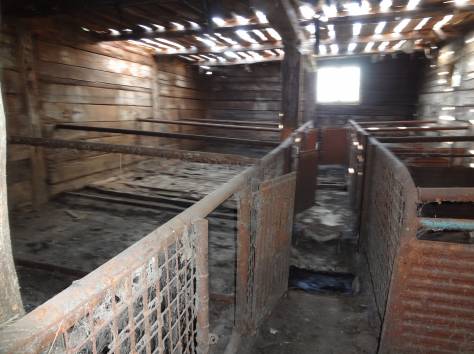 Продам дом с большими хоз.постройками для выращивания скота, фотография 6