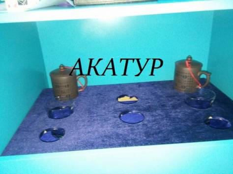 на мцпс  хоргос с ночевкой, фотография 4