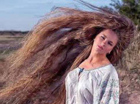 Наши клиенты ждут парикмахеров!, фотография 1