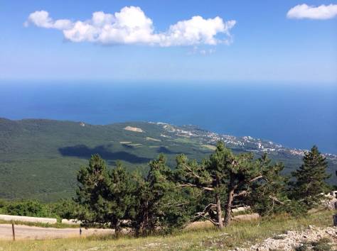 Помогу зарегистрировать предприятие в Крыму, фотография 1