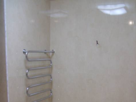 Комплексный ремонт, фотография 5