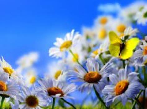 Уборка квартир, фотография 1