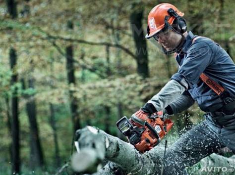 Спил и обрезка деревьев в Алматы, фотография 2