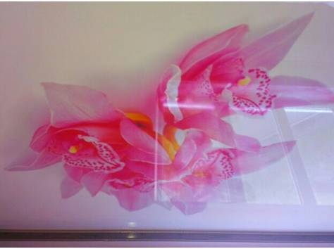 Натяжные потолки от производителя, фотография 4