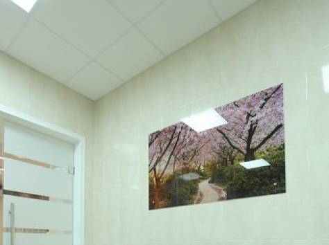 Сдам несколько кабинетов под медицинскую деятельность в действующем мед.центре, фотография 3