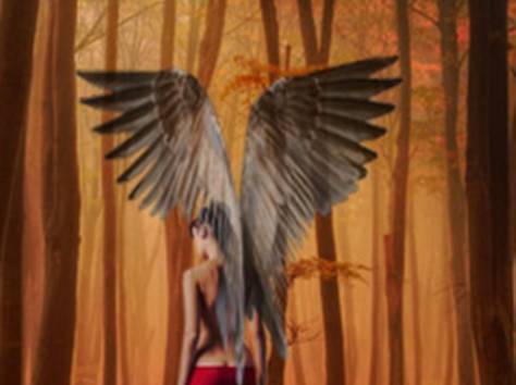 помогу, фотография 1