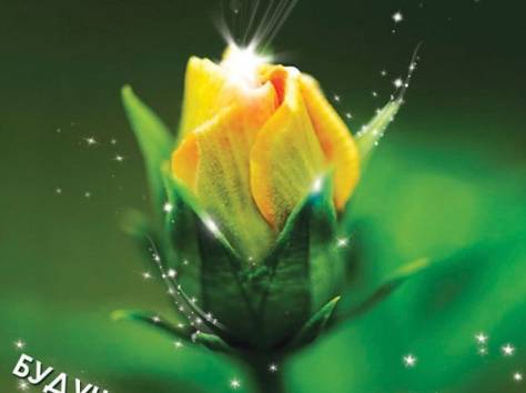 Tiens, фотография 1