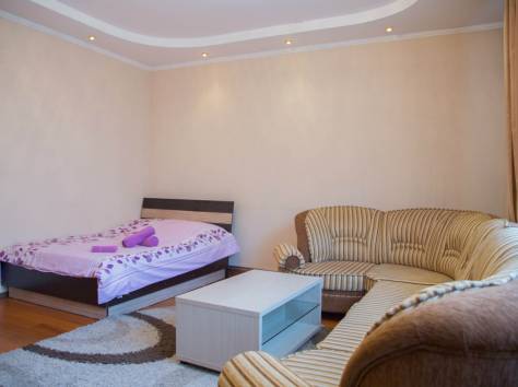 Сдается 1 комнатная квартира, фотография 5