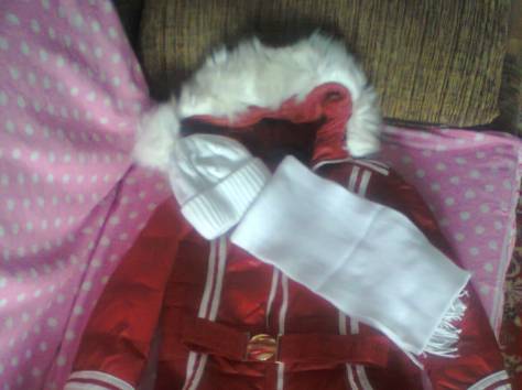 зимний пуховик с шарфом и шапкой, фотография 2