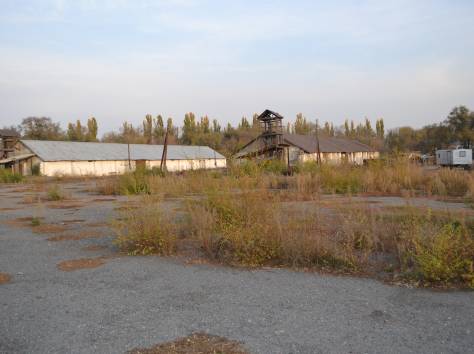 Крестьянское Хозяйство , фотография 4