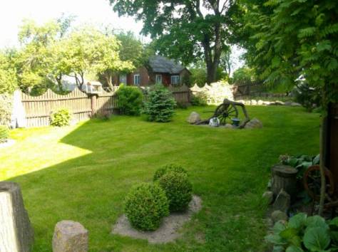 Услуга по озеленению, фотография 1