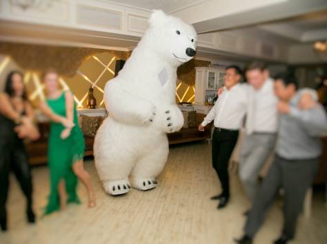 Ростовые мишки , фотография 2