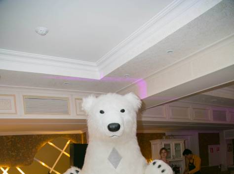 Ростовые мишки , фотография 3