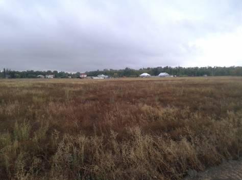 срочно продам участок, фотография 5