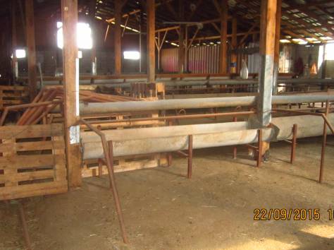 срочно продам участок, фотография 6