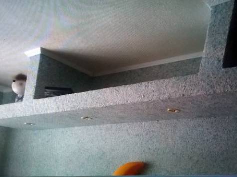 отделка квартир , фотография 11