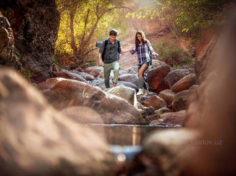 видеосъёмка в Алматы Alex Pro Studio, фотография 6