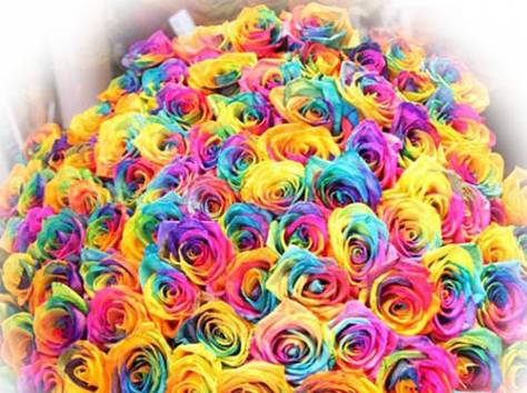 Букет из радужных роз в Алматы, фотография 1