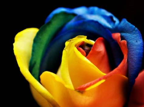 Букет из радужных роз в Алматы, фотография 2