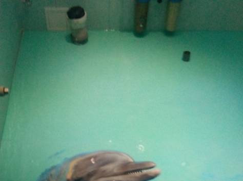 Полимерные полы, http://линдо-пол.рф, фотография 3