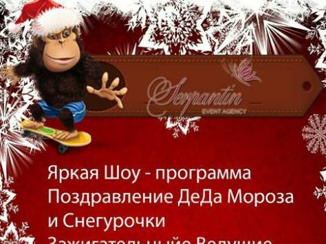 Ведущий на новый год и куча приятных бонусов в одном пакете услуг!, фотография 5