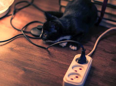 Срочно!! Отдам Милого Черного Котенка в добрые руки!!, фотография 1