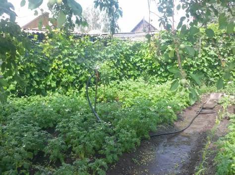 Срочно! Продам дом., Казахстанская, фотография 9