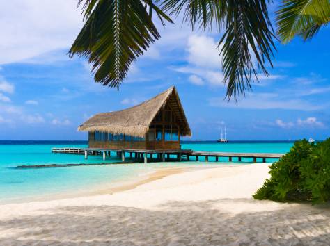 Доминиканы: Горящие туры от 900 у.е., фотография 1