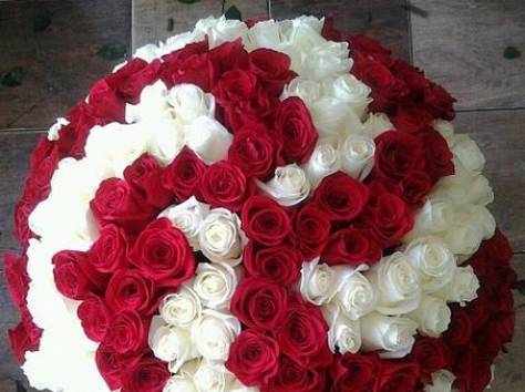 Самые лучшие цветы в Астане, фотография 2