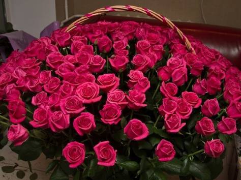 Самые лучшие цветы в Астане, фотография 4