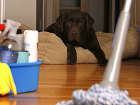 Генеральная уборка квартир.Недорого., фотография 1