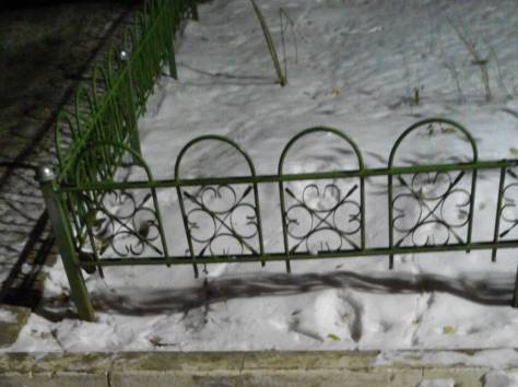 Кот-далматинец, фотография 2