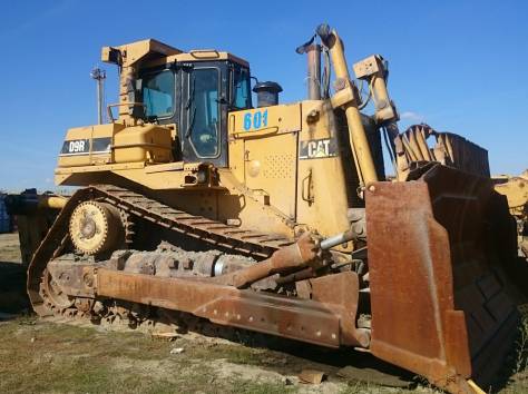 CAT, фотография 1