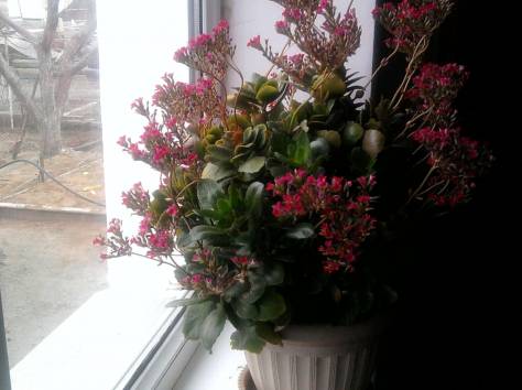 Продаю дом, Акмол, фотография 2