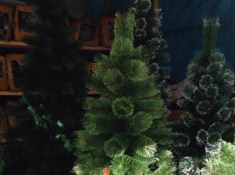 Купить елку для нового года, фотография 3