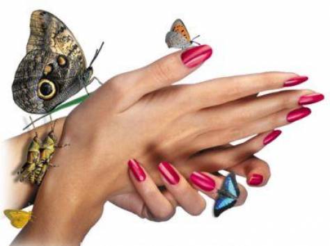 Курсы наращивания ногтей. Дизайн. маникюр. Педикюр., фотография 4