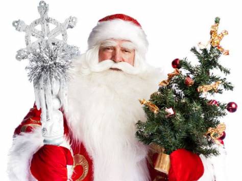 Дед Мороз и Снегурочка на дом, фотография 1