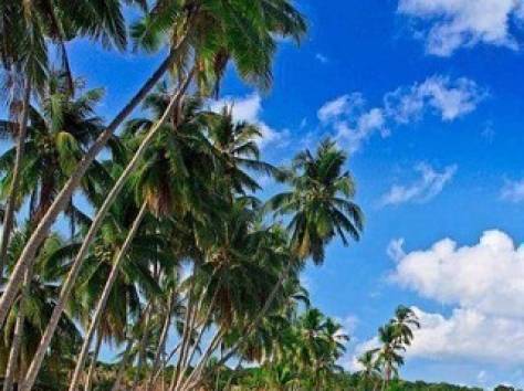 Вылеты из Омска! Последние места по лучшим ценам!, фотография 1